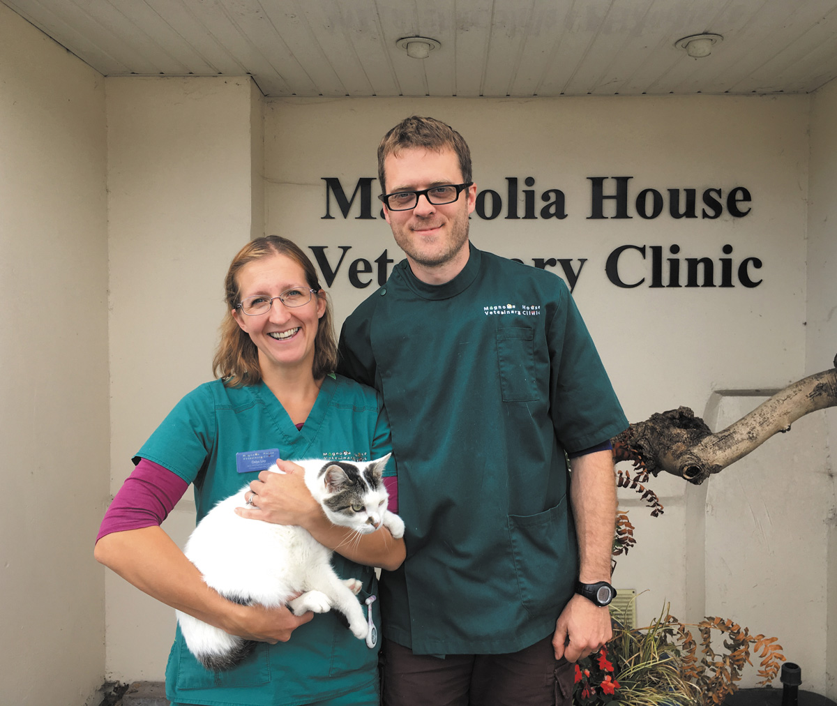 Magnola House Veterinary Clinic VIP Pet Health Club